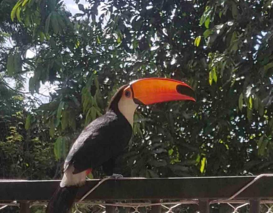 Aconchego Carioca. Seu Lar Longe De Casa * Río de Janeiro